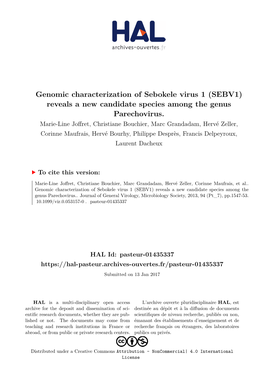 Genomic Characterization of Sebokele Virus 1 (SEBV1) Reveals a New Candidate Species Among the Genus Parechovirus