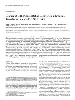 Deletion of GRK1 Causes Retina Degeneration Through a Transducin-Independent Mechanism