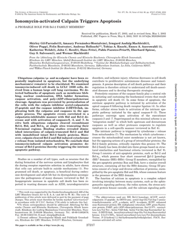 Ionomycin-Activated Calpain Triggers Apoptosis a PROBABLE ROLE for Bcl-2 FAMILY MEMBERS*