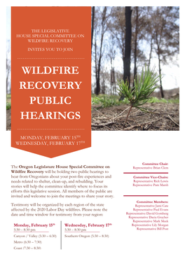 Wildfire Recovery Public Hearings