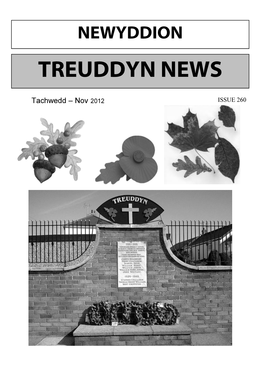 Treuddyn News