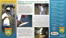 Fishing Brochure