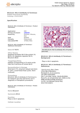 BCL2L14 / BCL-G Antibody (C-Terminus) Rabbit Polyclonal Antibody Catalog # ALS11667