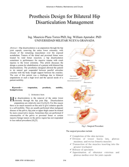 Prosthesis Design for Bilateral Hip Disarticulation Management