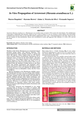 In Vitro Propagation of Arrowroot (Maranta Arundinacea L.)