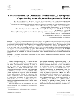 Cactodera Solani N. Sp. (Nematoda: Heteroderidae), a New Species Of