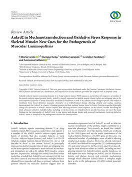 Ankrd2 in Mechanotransduction and Oxidative Stress Response in Skeletal Muscle: New Cues for the Pathogenesis of Muscular Laminopathies