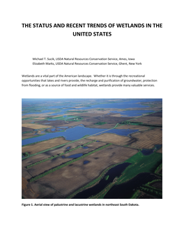 The Status and Recent Trends of Wetlands in the United States