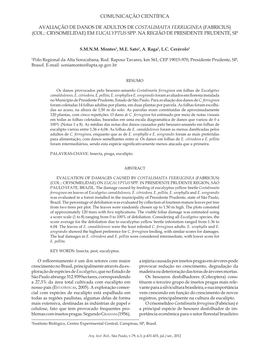 Avaliação De Danos De Adultos De Costalimaita Ferruginea (Fabricius)(Col.: Crysomelidae) Em Eucalyptus Spp. Na Região De Presidente Prudente, Sp