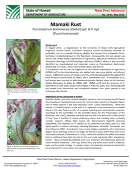 Mamaki Rust Pucciniastrum Boehmeriae (Dietel) Syd