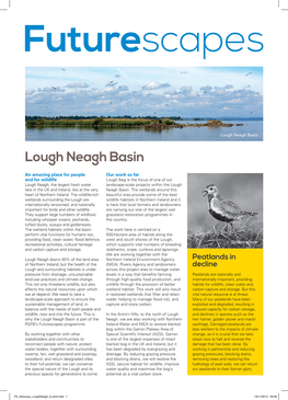 Lough Neagh Basin