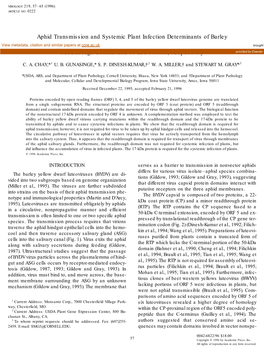 Aphid Transmission and Systemic Plant Infection Determinants of Barley