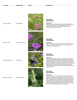 Plant Information List
