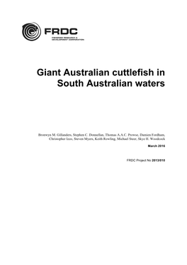 Giant Australian Cuttlefish in South Australian Waters