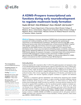 A KDM5–Prospero Transcriptional Axis Functions During Early