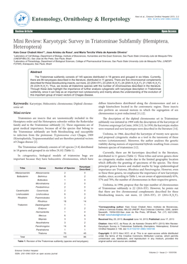Mini Review: Karyotypic Survey in Triatominae Subfamily (Hemiptera