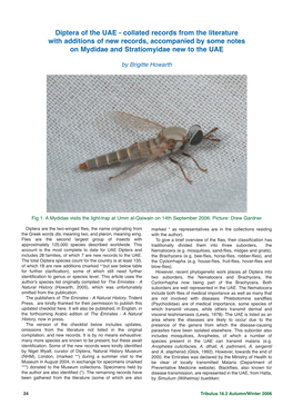 Diptera of the UAE - Collated Records from the Literature with Additions of New Records, Accompanied by Some Notes on Mydidae and Stratiomyidae New to the UAE