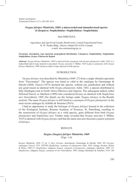 Ocypus Fulvipes Ménétriés, 1849, a Misrecorded and Misunderstood Species (Coleoptera: Staphylinidae: Staphylininae: Staphylinini)