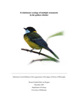 Evolutionary Ecology of Multiple Ornaments in the Golden Whistler
