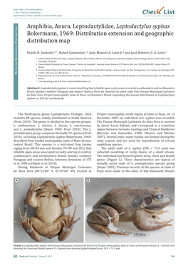 Leptodactylus Syphax