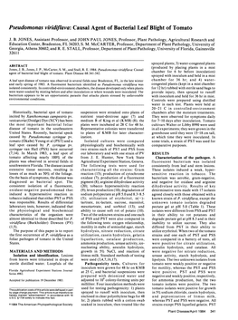 Pseudomonas Viridiflava: Causal Agent of Bacterial Leaf Blight of Tomato