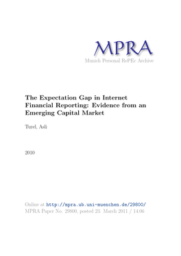 The Expectation Gap in Internet Financial Reporting: Evidence from an Emerging Capital Market