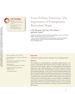 The Importance of Endoplasmic Reticulum Shape