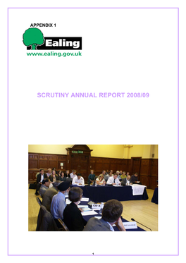 Scrutiny Annual Report 2008/09