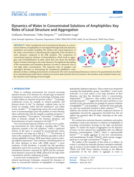 Dynamics of Water in Concentrated Solutions of Amphiphiles