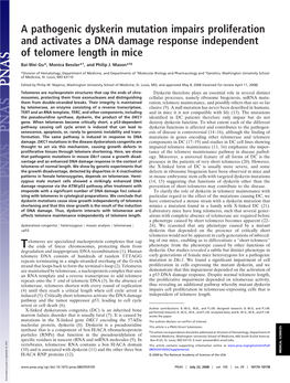 A Pathogenic Dyskerin Mutation Impairs Proliferation and Activates a DNA Damage Response Independent of Telomere Length in Mice