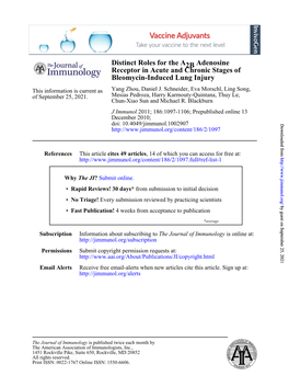 Bleomycin-Induced Lung Injury Receptor in Acute and Chronic