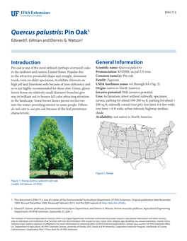 Quercus Palustris: Pin Oak1 Edward F