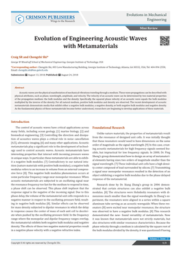 Evolution of Engineering Acoustic Waves with Metamaterials