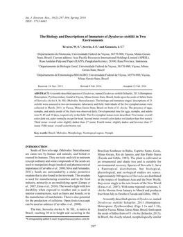 The Biology and Descriptions of Immature of Dysdercus Stehliki in Two Environments