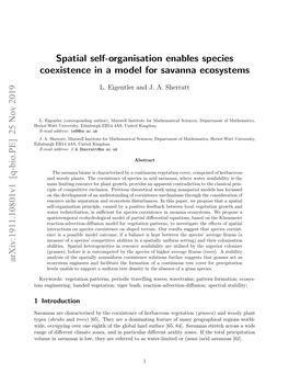 Spatial Self-Organisation Enables Species Coexistence in a Model For