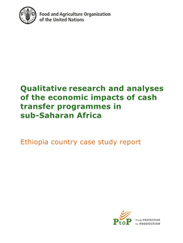 Qualitative Research and Analyses of the Economic Impacts of Cash Transfer Programmes in Sub-Saharan Africa