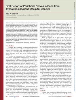 First Report of Peripheral Nerves in Bone from Triceratops Horridus Occipital Condyle