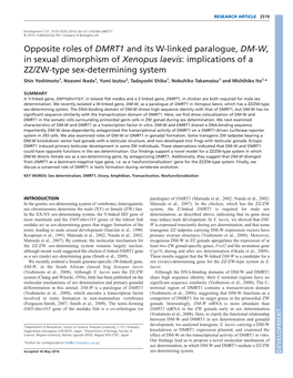 Opposite Roles of DMRT1 and Its W-Linked Paralogue, DM-W, In