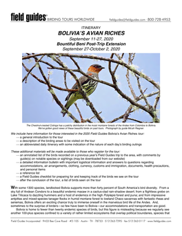 Bolivia's Avian Riches