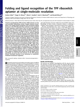 Folding and Ligand Recognition of the TPP Riboswitch Aptamer at Single-Molecule Resolution