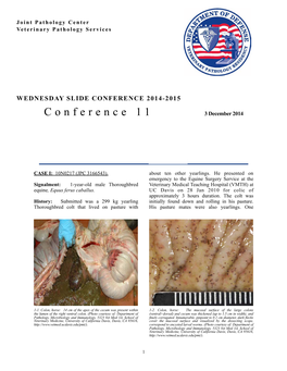 WSC 14-15 Conf 11 Layout