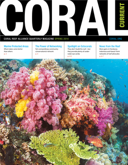 SPRING 2014 SPRING QUARTERLY MAGAZINE ALLIANCE REEF CORAL P