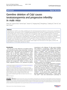 Germline Deletion of Cdyl Causes Teratozoospermia and Progressive
