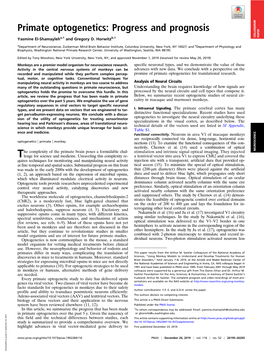 Primate Optogenetics: Progress and Prognosis