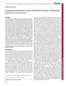 Jumping Mechanisms in Adult Caddis Flies (Insecta, Trichoptera) Malcolm Burrows* and Marina Dorosenko