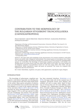 Contribution to the Morphology of the Bulgarian Stygobiont Truncatelloidea (Caenogastropoda)