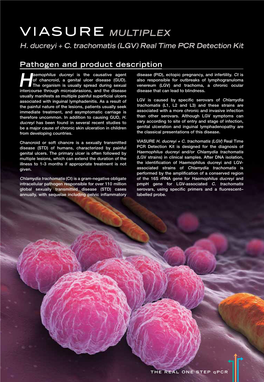 Pathogen and Product Description H. Ducreyi + C. Trachomatis (LGV)