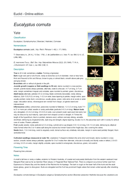 Eucalyptus Cornuta Yate Classification Eucalyptus | Symphyomyrtus | Bisectae | Hadrotes | Cornutae Nomenclature Eucalyptus Cornuta Labill., Voy