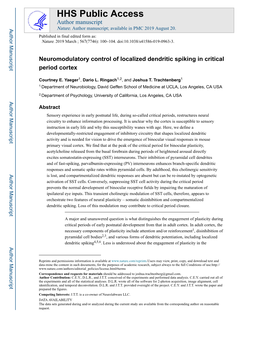 Neuromodulatory Control of Localized Dendritic Spiking in Critical Period Cortex