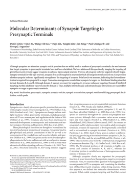 Molecular Determinants of Synapsin Targeting to Presynaptic Terminals